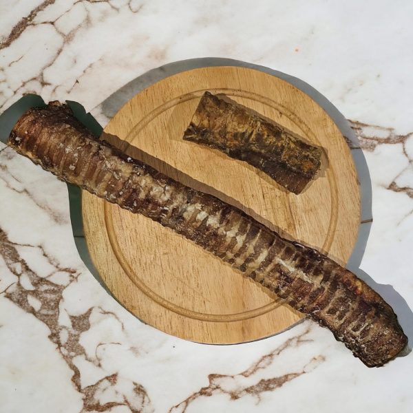 Beef Trachea <br>(Cut or Jumbo)